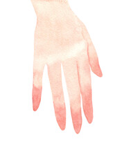 Watercolor woman's hand. Hand-painted illustration isolated on a transparent background
