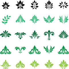 Collection of decorative flourishes and botanical elements for creative design projects