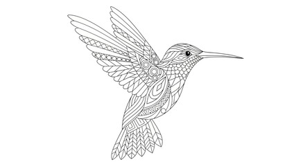 Obraz premium Intricate Zen Doodle Design of a Hummingbird in Flight with Detailed Feather Patterns and Decorative Elements for Coloring and Relaxation