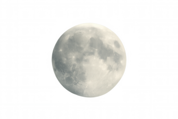 Full moon displaying its textured surface and craters, a natural satellite in space on a transparent background