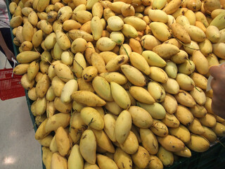 Large pile of ripe yellow mangoes on display in a supermarket, emphasizing abundance, freshness, and tropical flavor