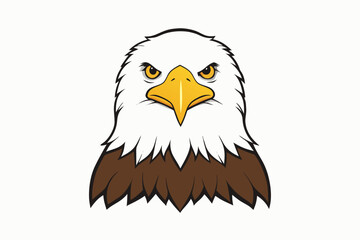 american bald eagle