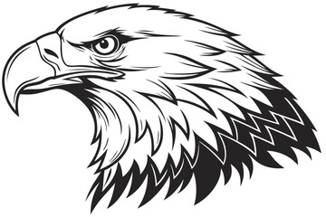 american bald eagle