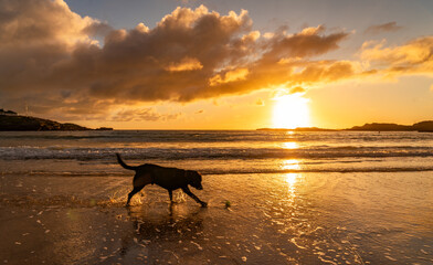 Trearddur bay in the sunset Anglesey Wales