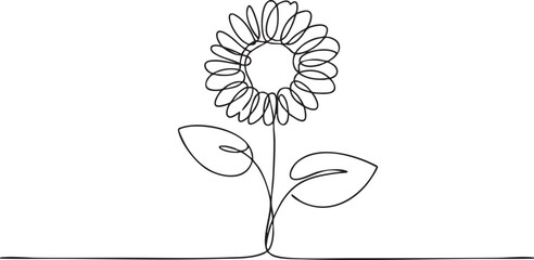 Continuous Line Drawing of Sunflower Minimalist Botanical Flower Illustration Isolated on White Background for Modern Art, Prints, Logos, and Design