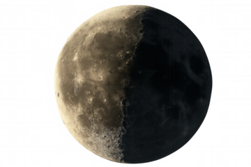 Moon in first quarter phase, revealing detail of craters, maria, and the terminatore on a transparent background