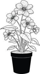 Potted blooming flowers with delicate petals and green leaves hand drawn sketch silhouette