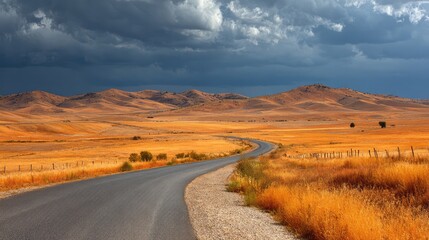 asphalt. Panoramic view of an empty road under cloudy skies, capturing a serene and open landscape. travel magazines, destination branding, designed for outdoor magazines and nature guides.