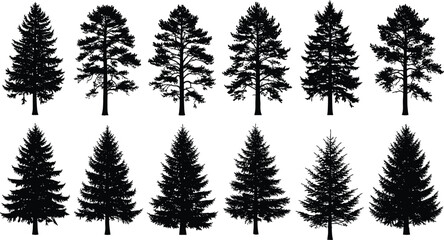 Conifer tree silhouettes, botanical pine icons, forest shape variations, stylized evergreen trees, nature clipart set, vector tree graphics, design elements