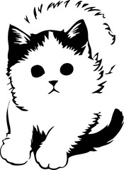  cute cat sitting casually 