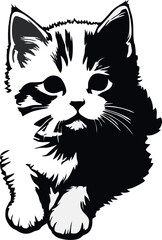  cute cat sitting casually 