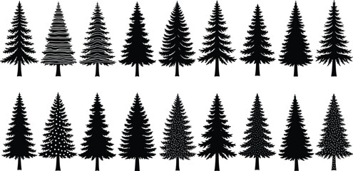 Fototapeta premium Coniferous tree silhouette set, evergreen tree shapes, forest elements, black outline, nature design, vector illustration, pine trees, botanical forms
