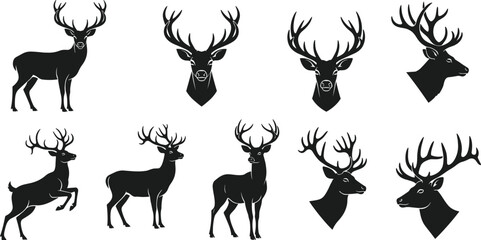 Deer silhouette set, antler variations, wildlife vector icons, animal poses, forest creatures, hunting theme, black illustration, nature design elements