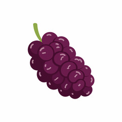 Simple Flat Grape Bunch Illustration Clipart Food and Healthy Fruit