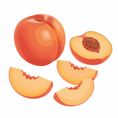 Realistic Detailed Peach Fruit with Slice Illustration Food Still Life