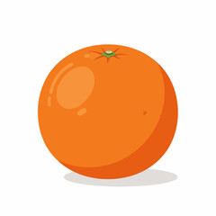 Flat Style Detailed Single Orange Fruit Citrus Healthy Food Illustration
