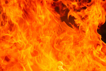 Close up burning flames on black background for graphic design or wallpaper.