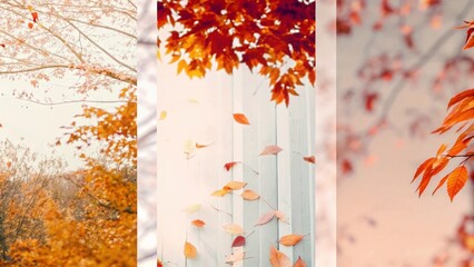Cozy Autumn Leaves on Branches with Warm Sunlight – Seasonal Fall Nature Backgrounds and Foliage Wallpaper Collection