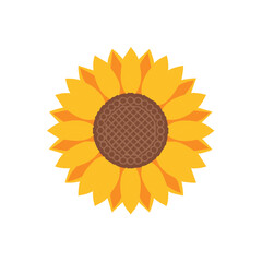 Fototapeta premium Stylized Yellow Sunflower Bloom Illustration, Petals and Brown Center, Vibrant Summer Floral Image