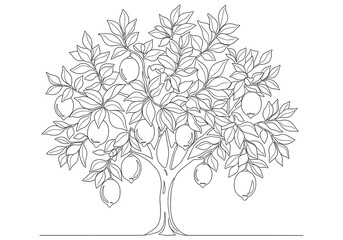 Lemon Tree Illustration, Black and White, Nature, Drawing.