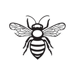 Obraz premium Bee silhouette, Detailed bee silhouettes collection, bee logo silhouette vector illustration, honey bee vector silhouette illustration isolated on white background