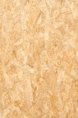 Wood Texture