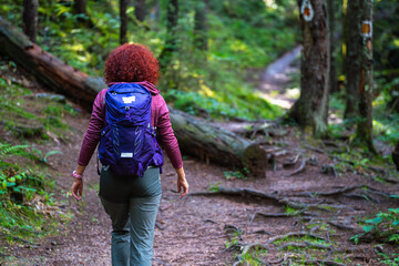 Hiker woman walking forest trail
