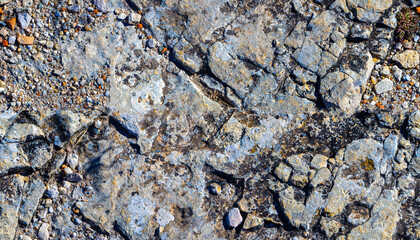 A rocky surface with a few small rocks scattered around. Seamless texture pattern