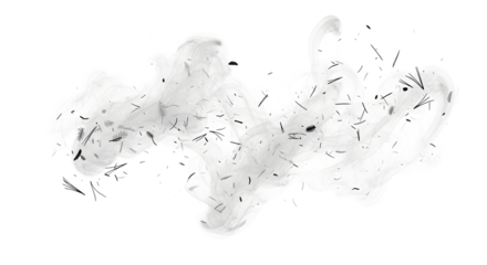 Abstract monochrome cloud with dark particles isolated on white background