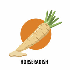 Flat Style Fresh Horseradish Root Vegetable and Circle Shape Illustration