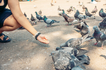 A young child with short black hair kneels on the ground, feeding a flock of gray pigeons in an urban park setting.