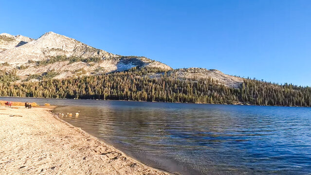 The lakeshore with a sandy beach in the foreground, backed by forested slopes and large rocky mountains bathed in sunlight under a bright blue sky.