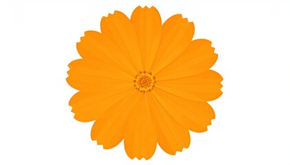 Orange flower, flat style