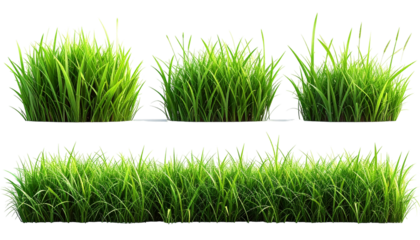 Clumps of green grass