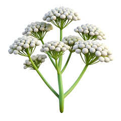 Obraz premium bouquet of snowdrops