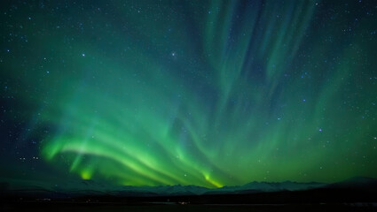 Fototapeta premium Vibrant green aurora borealis dances across a starry night sky above a dark horizon