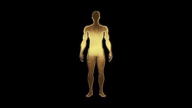 Muscular man with slightly reflected outlines on a gold foil-like surface, loop, alpha channel

