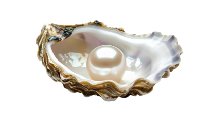 Pearl in shimmering seashell