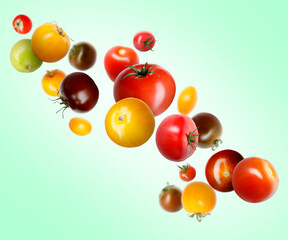 Different fresh tomatoes falling against turquoise background