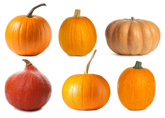 Fresh pumpkins isolated on white, set. Autumn vegetable