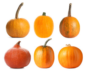 Fresh pumpkins isolated on white, set. Autumn vegetable