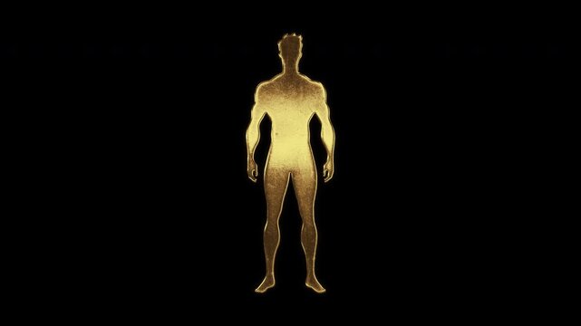 Muscular man with slightly reflected outlines on a gold foil-like surface, loop, alpha channel

