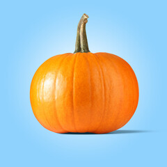 Whole ripe pumpkin on light blue background