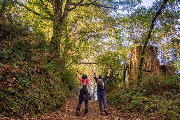 Two people with backpacks and trekking poles celebrating on a sunlit forest trail, experiencing nature and active lifestyle with a sense of joy and accomplishment