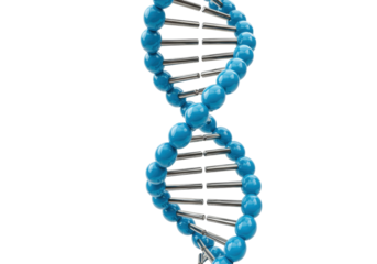 Blue DNA molecule model isolated on transparent background, genetic code structure in 3D rendering for science and medical research