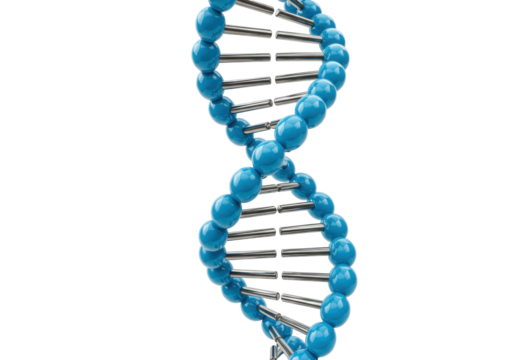 Blue DNA molecule model isolated on transparent background, genetic code structure in 3D rendering for science and medical research
