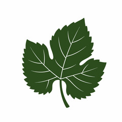 Simple Flat Style Grape Leaf Single Element Isolated Design