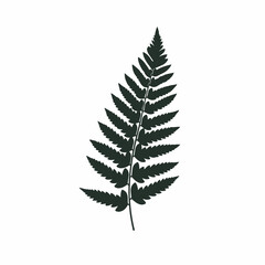 Minimalist Silhouette Delicate Fern Leaf Botanical Herb Plant Illustration