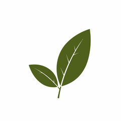 Flat Green Leaf Pair Simple Illustration Fresh Foliage Botanical Element
