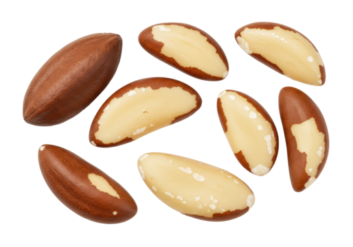 Brazil nuts isolated on transparent background, nutritious and delicious snack food rich in selenium and healthy fats, PNG
